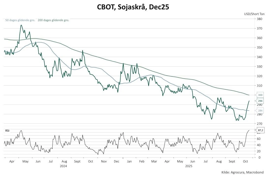 Prisen på CBOT-sojaskrå (dec-25) har siden foråret 2024 ligget i en vedvarende nedtrend. De to glidende gennemsnit – 50 dage (lys) og 200 dage (mørk) – har i over et år peget nedad.