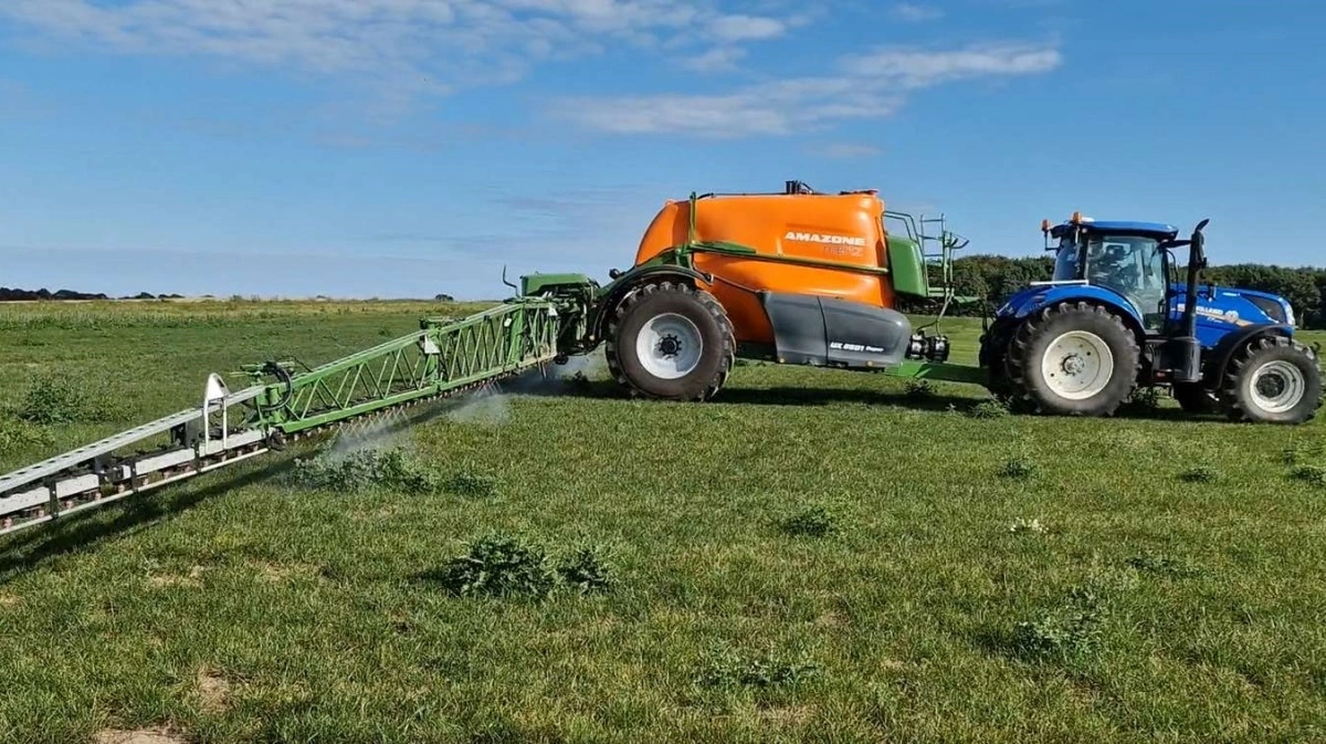 DLF lancerer ny vækststrategi, men Pfas-forbud truer dansk frøproduktion og sætter en styrkeposition under pres. Arkivfoto: Jørgen P. Jensen