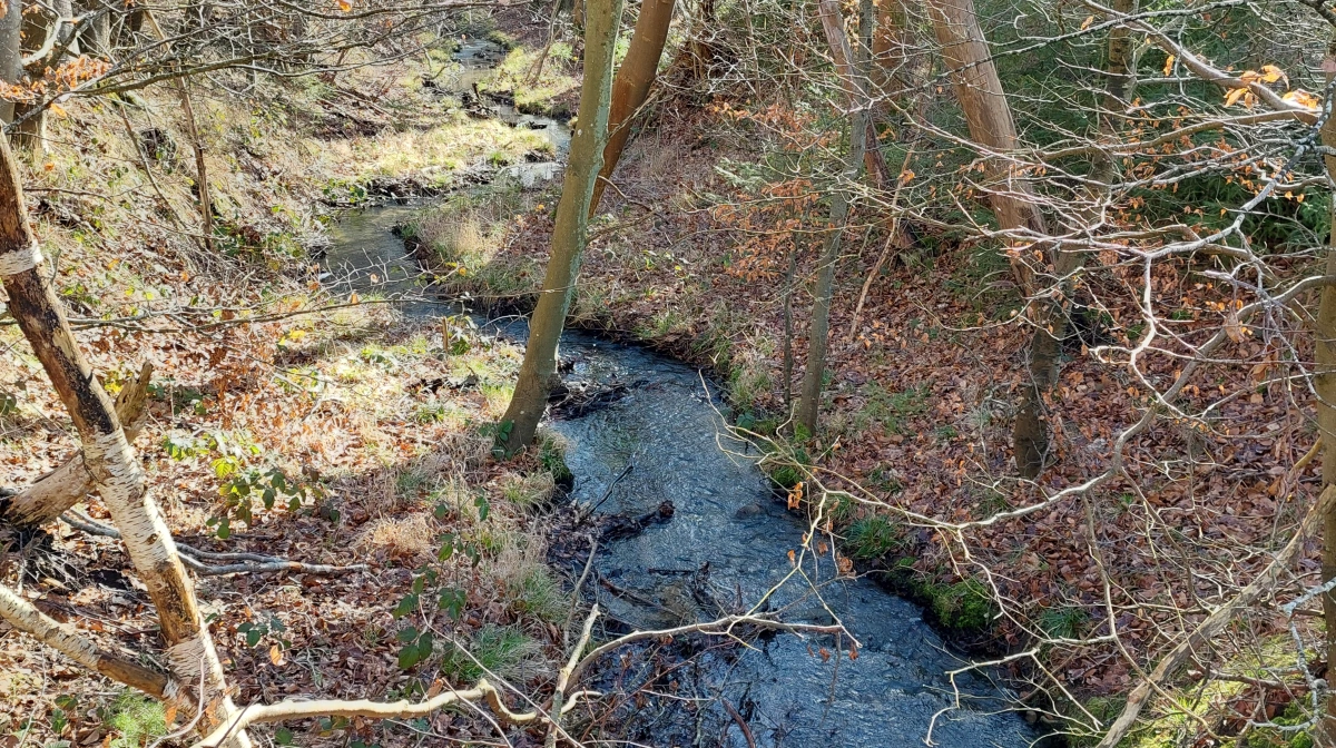 Selvom myndighederne har pligt til at sørge for både god økologisk og kemisk tilstand i overfladevand, holdes der ikke ordentligt øje med miljøfremmede stoffer i vandløb, mener man hos VKST. Arkivfoto: Camilla Bønløkke