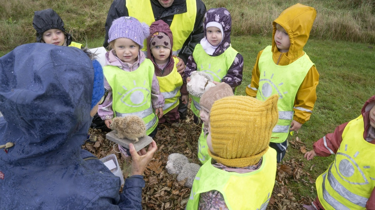 Børnegården Gredstedbro er en af de daginstitutioner, der for tiden får besøg af naturvejledere , og kommer tættere på naturen. Fotos: Esbjerg Kommune.