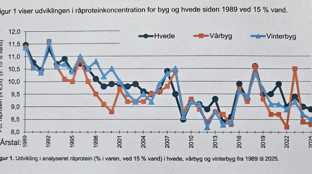 Udviklingen i råproteinkoncentrationen for byg og hvede siden 1989 ved 15 procent vand. Kilde: Seges Innovation, Notat nr. 2518