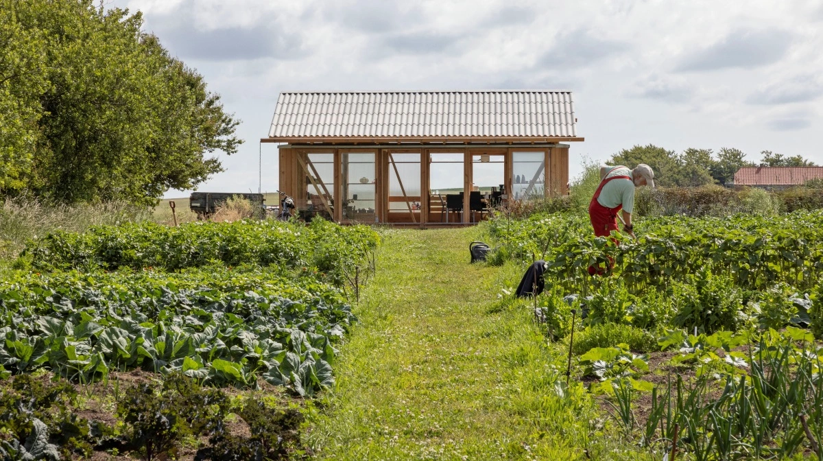 Husmandsbruget er en forening i Lemvig, der dyrker en køkkenhave - her er deres nyopførte mødested, der er blevet til efter en donering fra Realdania. Foto: Laura Stamer