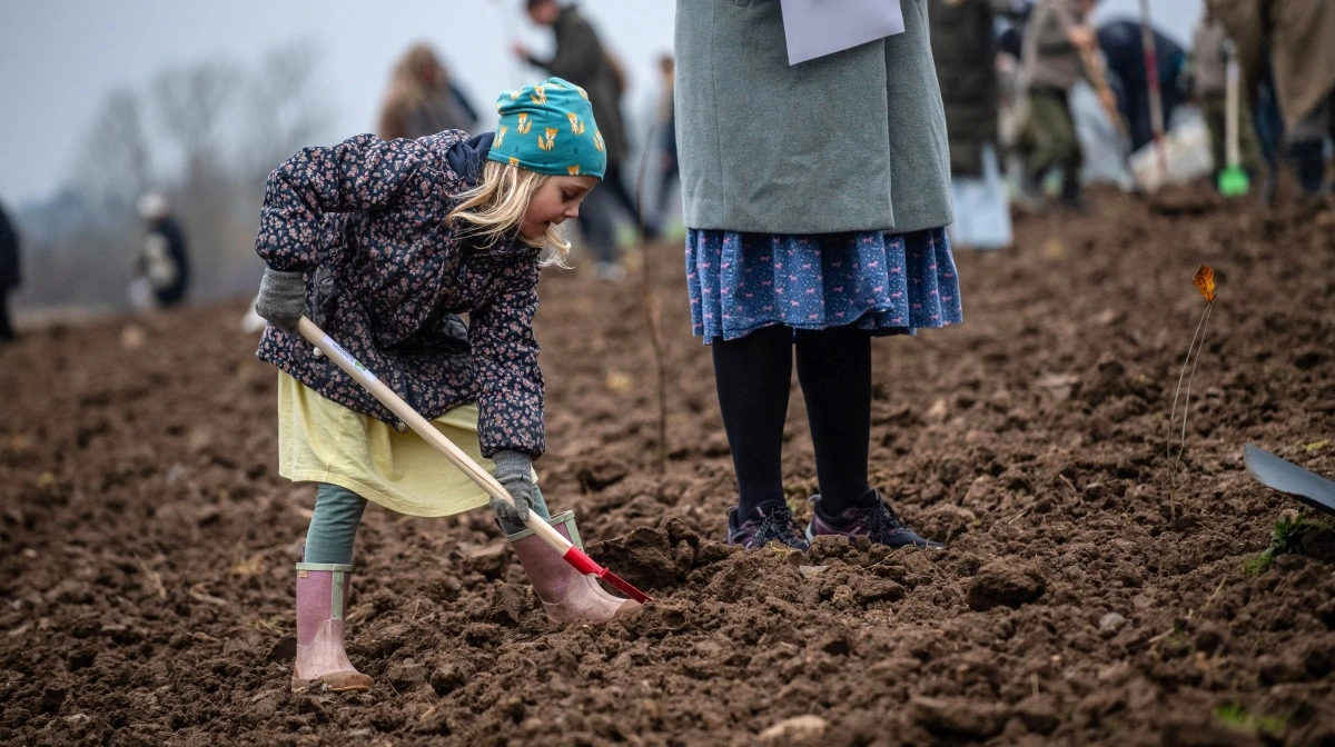 Der er mulighed for både stor og lille for at komme ud og plante træer på søndag i forbindelse med Danmark planter med Grøn Trepart. Arkivfoto
