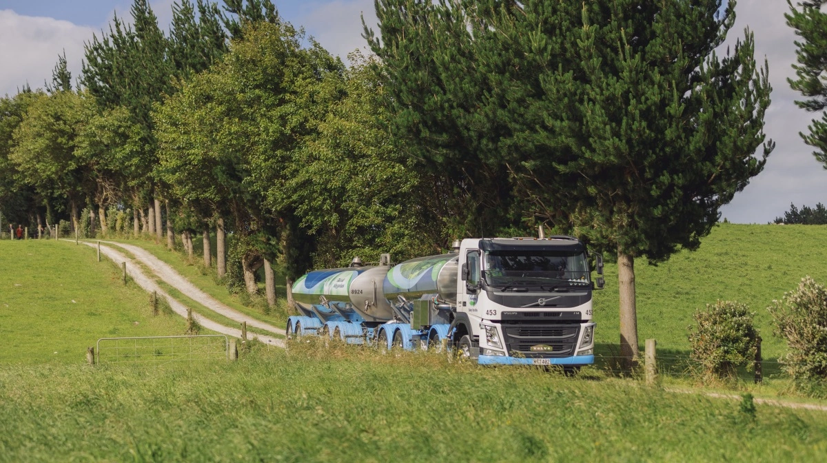 Det newzealandske mejeri Fonterra har fået grønt lys til at sælge Mainland Group til franske Lactalis. Foto: Fonterra