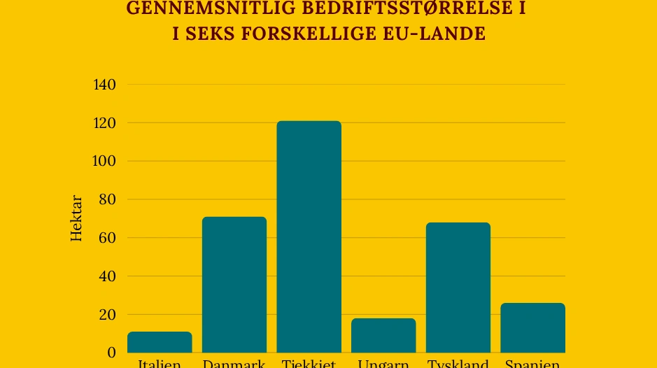Den gennemsnitlige bedrift i Danmark er mere end dobbelt så stor som i Italien. Og i Tjekkiet er bedrifterne endnu større.