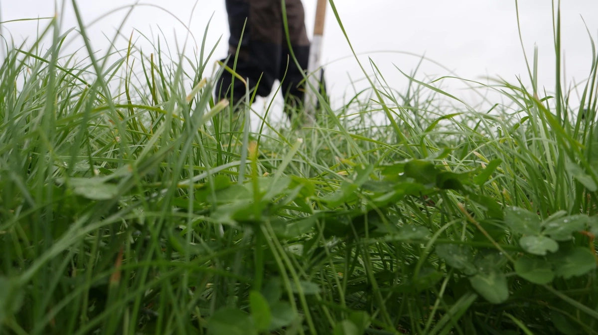 Foto: Linda Rosager Duve