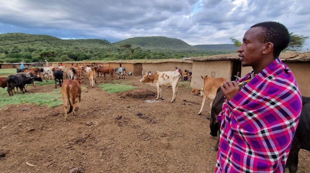 Der er tusindvis af landmænd i det vestlige Kenya, et land med 60 millioner indbyggere. I det vestlige Kenya skal lokale landmænd lære at kombinere grøn omstilling og vækst – inspireret af danske andelserfaringer. Arkivfoto: Jørgen P. Jensen
