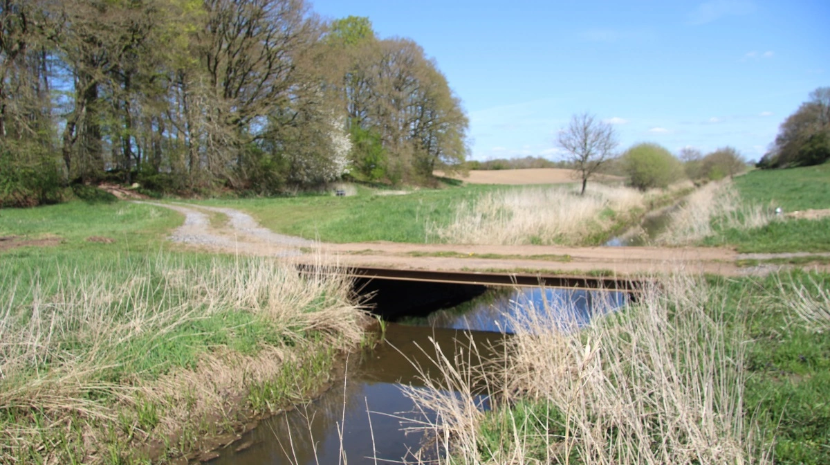 Ansøgningsfristen for skovrejsningsordningen under SGAV er også blevet forlænget. Styrelsen oplyser, at man har modtaget cirka 200 ansøgninger til ordningen, der giver tilskud til skovrejsning på marker for at reducere kvælstof- og CO2-udledning. Arkivfoto: Morten Ipsen
