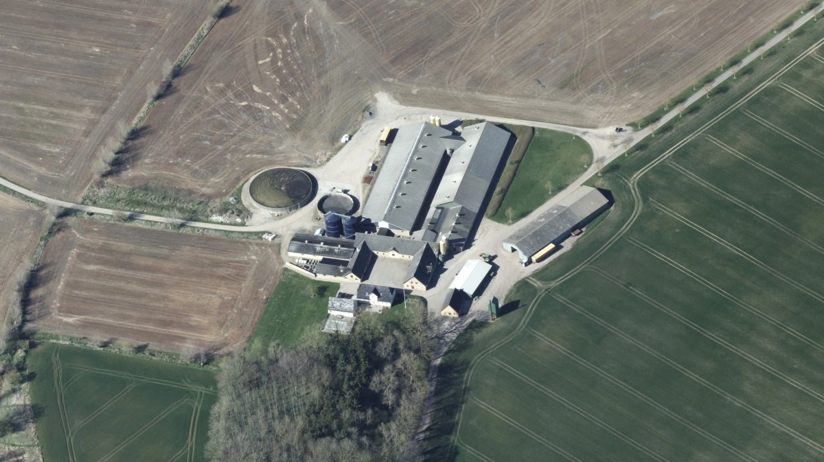 Den fynske svineejendom på Bremerskovvej 132 ved Langeskov har fået ny ejer. Foto: Skraafoto/Dataforsyningen