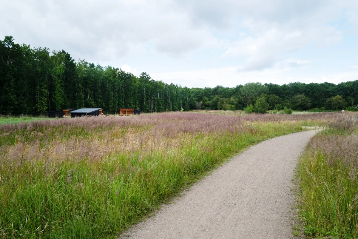 Nye sheltere i Kongelunden, Amager.