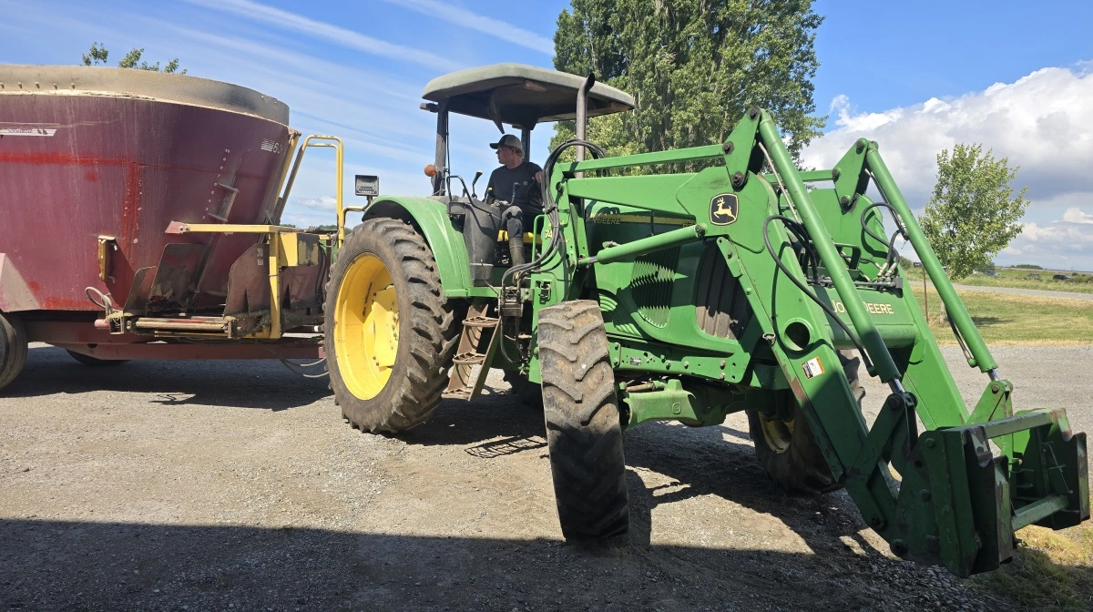 Knap to tredjedele af grovfoderet dyrkes selv i form af majs og græs.