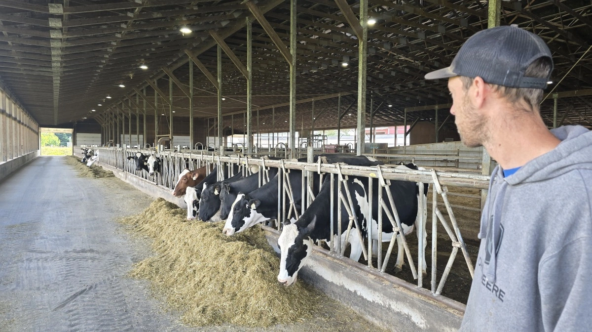 Den nyeste løsdriftsstald til 140 malkekøer.
