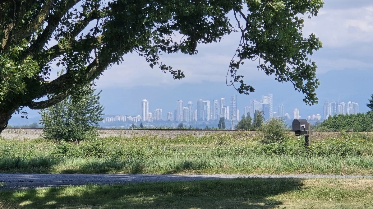 Skyskraberne i Vancouver city ses tydeligt 25 kilometer væk fra Farmen.