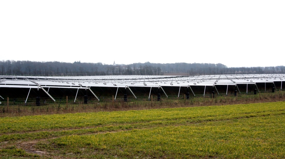 Det kan ikke nytte noget, at placering af vedvarende energianlæg skal sætte en stopper for landbrugets udvikling. Det er tankegangen bag en kommende ændring i planloven, lyder det fra regeringen. Arkivfoto: Tenna Bang