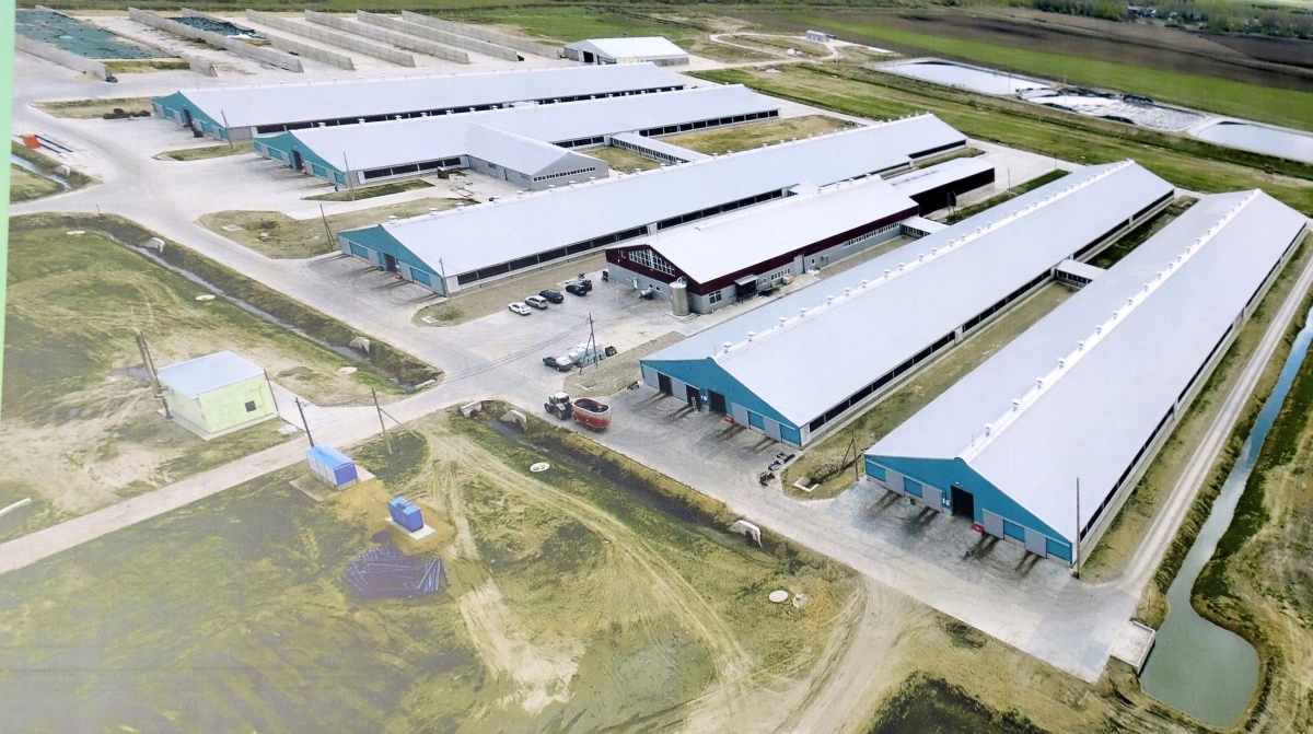 Over 5 procent af den russiske befolkning er ansat ved landbrug, men der mangler hænder, og sammen med visse vestlige sanktioner begynder det nu at kunne mærkes på fødevarepriserne. Arkivfoto: Jørgen P. Jensen