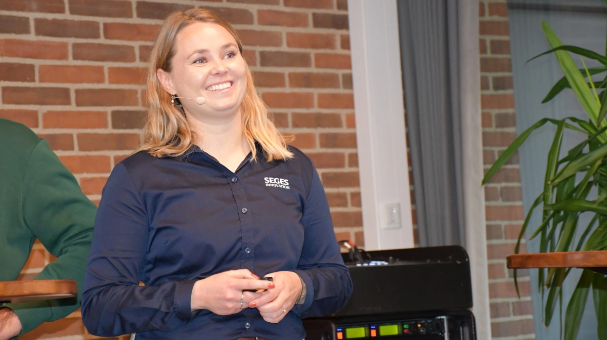 - Det er virkelig blevet populært at stoppe med kirurgisk kastration, lød det fra Anna Krog Krustrup, konsulent fra Seges Innovation, under årets Grisekongres. 