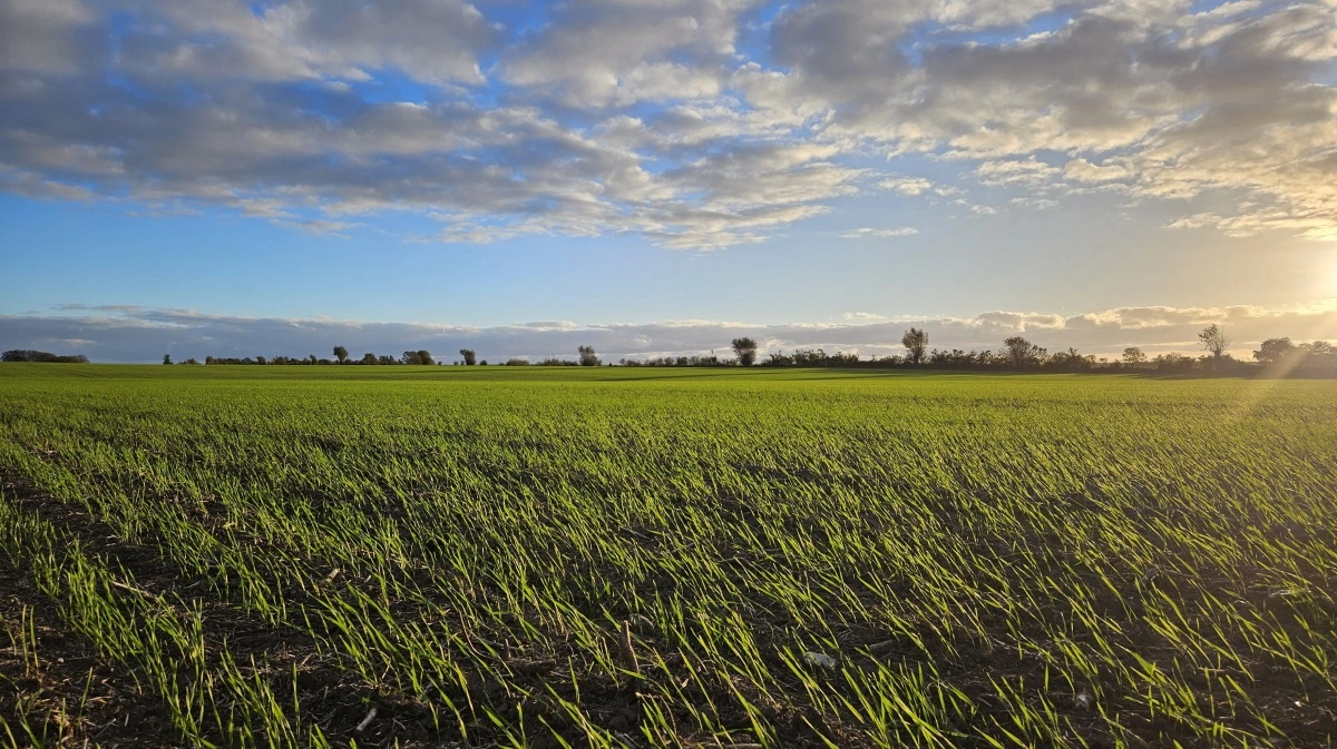 - Godt landmandskab handler om at få mest muligt ud af de ressourcer, man har - og det er præcis, hvad miljøledelse går ud på, lyder det fra rådgiver Dorthe Carlson fra SvineRådgivningen. Fotos: Camilla Bønløkke
