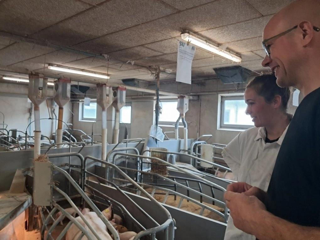 Allan Pedersen, ejer af Kærlund ved Give, er en af de producenter, der deler sine data på so-overlevelse med DanBred.