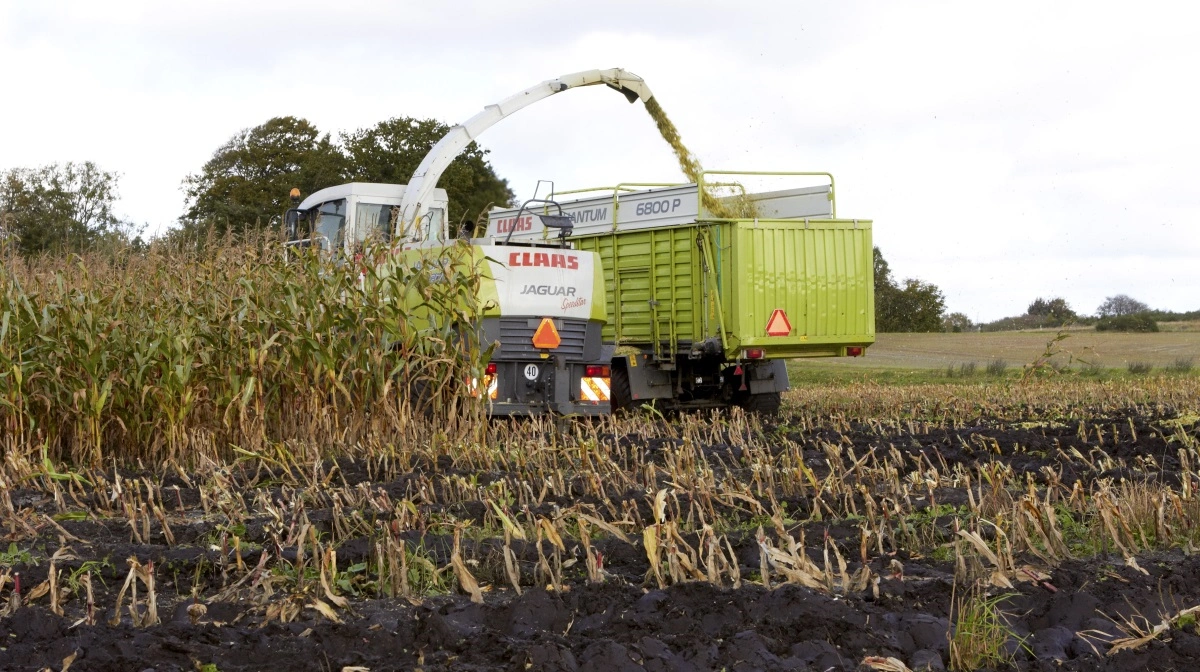 Efter 48 år må Dørken Maskinstation ved Give lukke. Banken trak støtten, og 12 ansatte mister jobbet. Arkivfoto