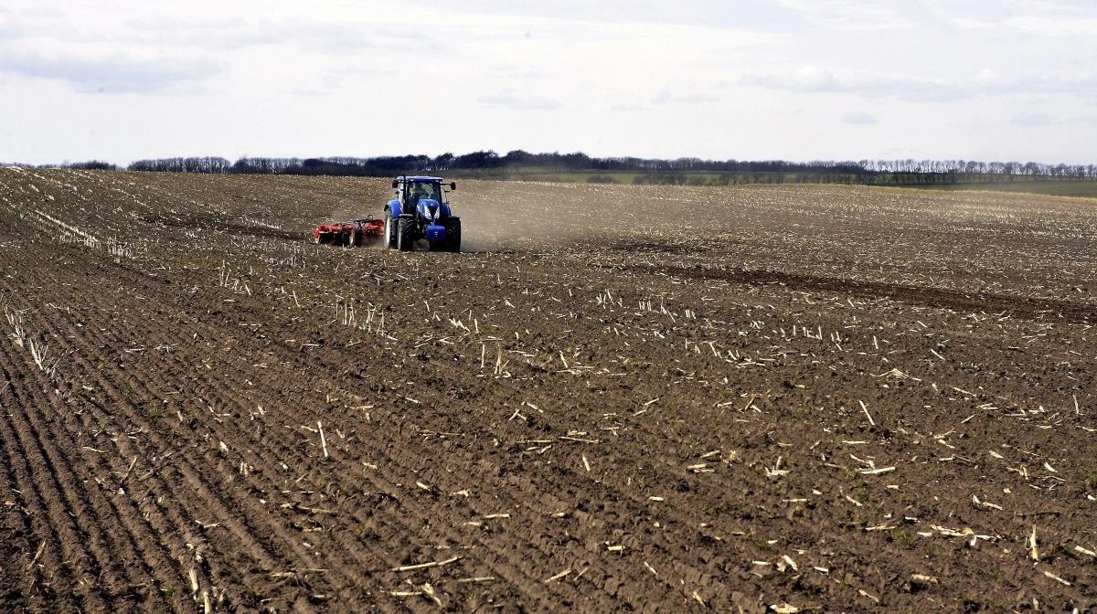 Trepart Vadehavet når kun 85 procent i mål på grund af det voldsomme kvælstofkrav til Knudedyb. Og lige pt. er der ikke værktøjer til at tage mere landbrugsjord ud, lyder det. Arkivfoto
