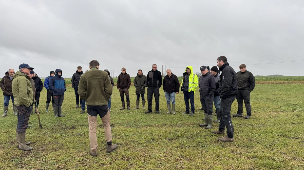 Der var mange interesserede spørgsmål, da Velas rundede Christian Frigaards hvedemark som den sidste på en marktur tirsdag eftermiddag, som også inkluderede besøg hos Vindbylund og Damsgaard Rasmussen I/S. 