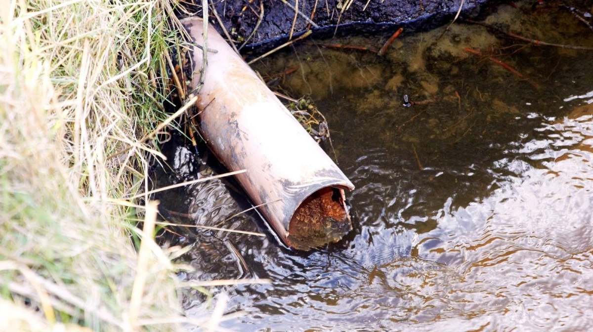 Grundet meget regn i 2023 og 2024 er der udledt lidt mere kvælstof i forhold til tidligere år. Generelt har udledningerne dog ligget stabilt til faldende over de seneste 30 år. Arkivfoto
