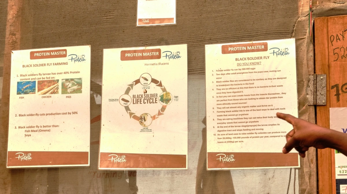 Skiltene fortæller på enkel måde, hvordan produktionen foregår.