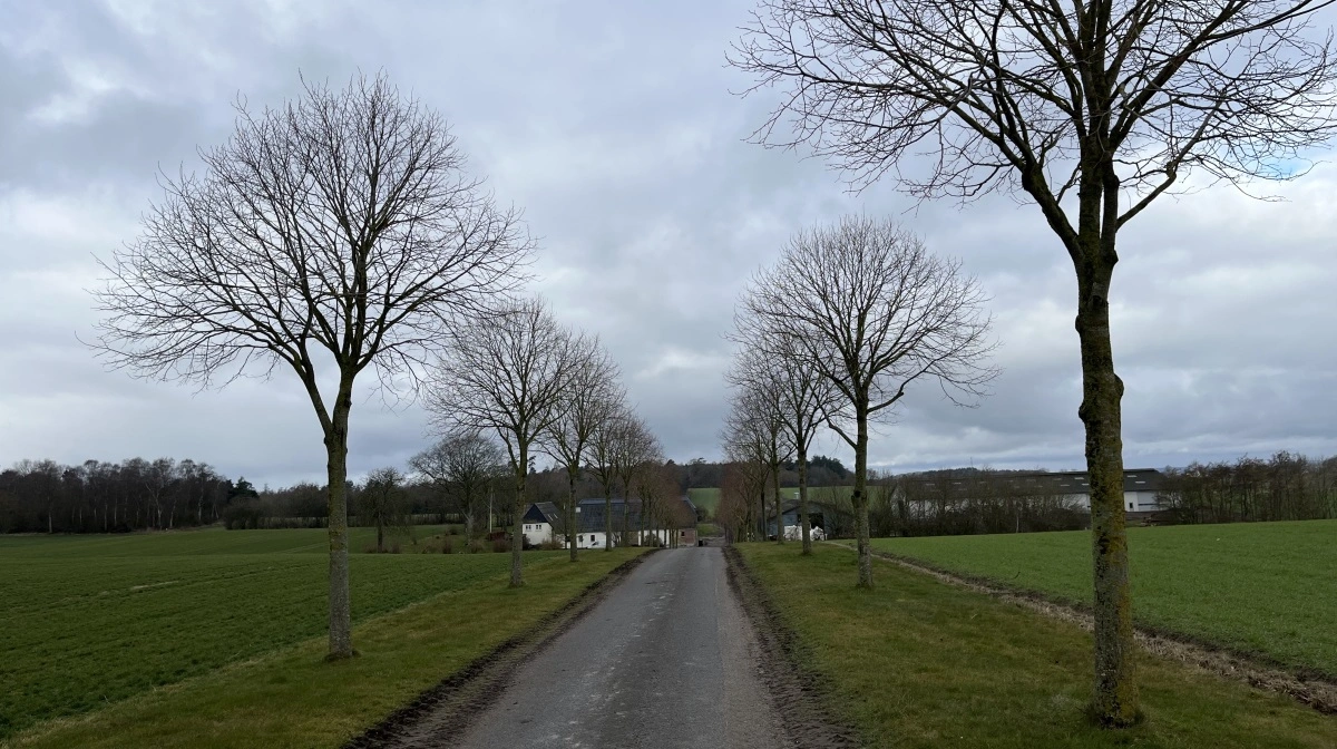 Det er ikke altid lige nemt at overtage en bedrift. Bureaukrati kan dog være en lige så stor udfordring som penge, lyder det.