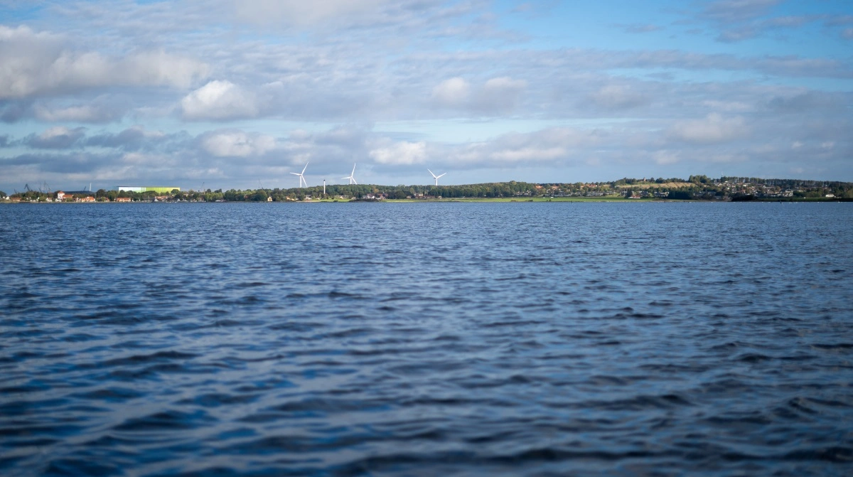 - Det er virkelig irriterende, at nogle hele tiden bliver ved med at vende tilbage til det her med spildevandet, for vi har lavet kildeopsplitninger i flere fjorde mange gange og synliggjort disse resultater i f.eks. Odense Fjord Samarbejdet og i Sund Vejle Fjord-projektet, siger Mogens Flindt.