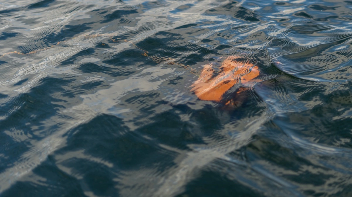 Undervandsdronen på arbejde i Kertinge Nor.