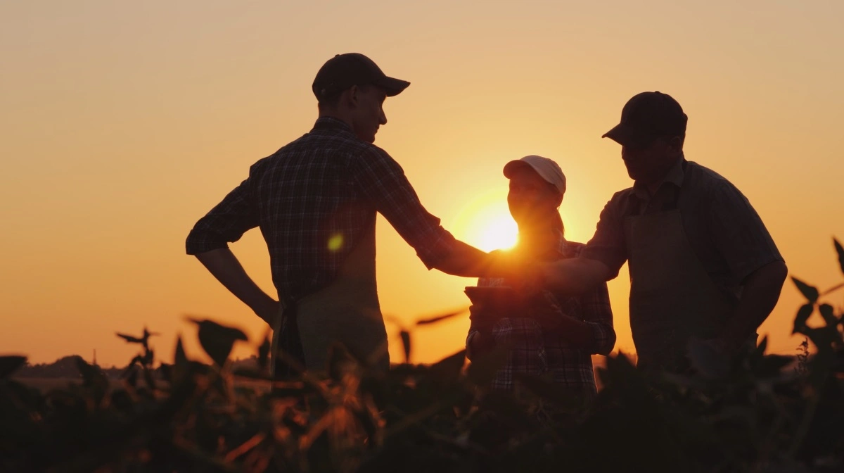 I mange stalde falder læremesteropgaven naturligt til den dygtigste medarbejder eller lederen. Det kan virke som en logisk løsning. Men det er ikke altid den bedste, advarer griserådgiver med speciale i ledelse. Foto: Shutterstock