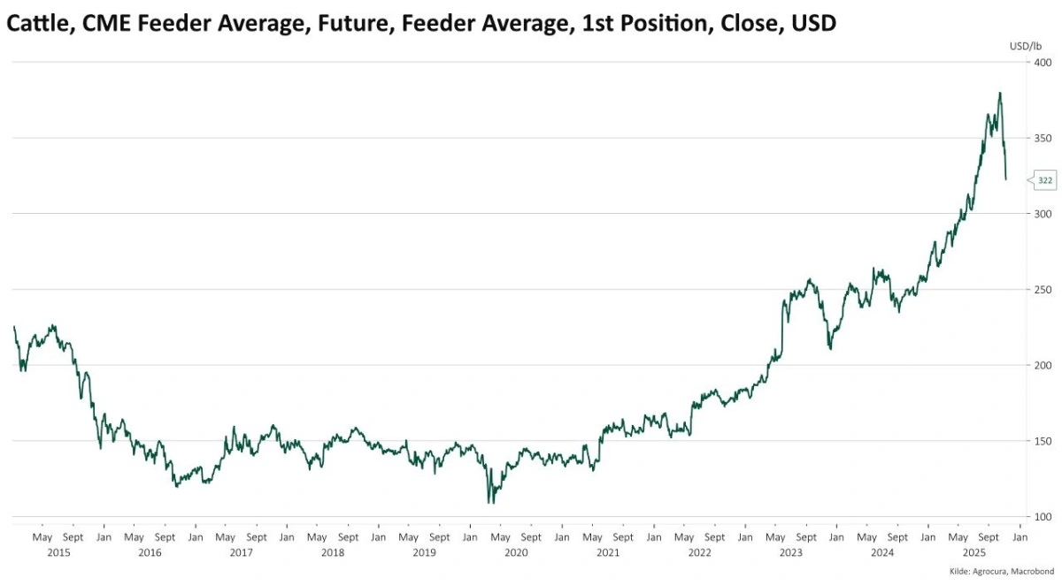 Siden 2021 er futuremarkedet for »feeder cattle« nærmest eksploderet – fra omkring 150 USD/lb til en top omkring 375 USD/lb i efteråret 2025. 
