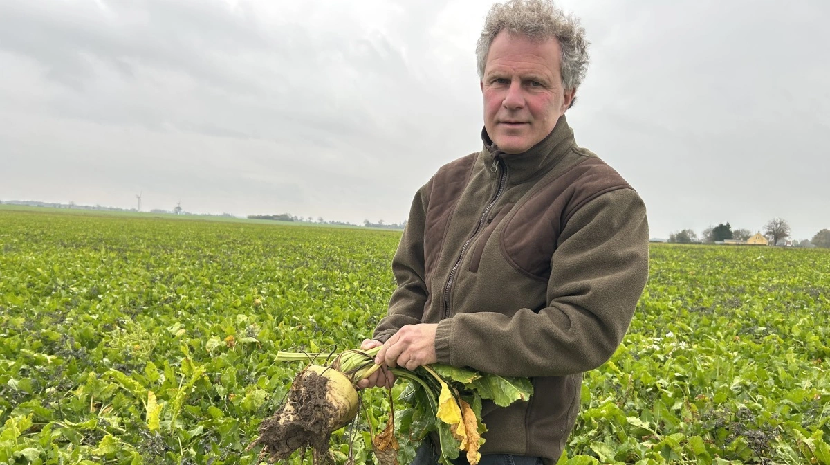 Sukkerroedyrker Jens Christian Bay, Vennershåb Landbrug ved Nakskov, indgår i forsøg med Nordic Sugar og Yara om CO2-reduceret gødning i sukkerroedyrkningen. Foto: Jesper Juul Ulnitz, Yara