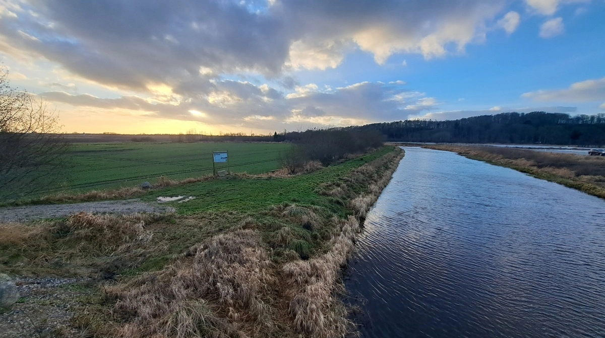 Naturstyrelsen begynder en forundersøgelse af en mulig naturgenopretning af 3.600 hektar nær Grenaa. Pris: 17 millioner kroner. Foto: Naturstyrelsen