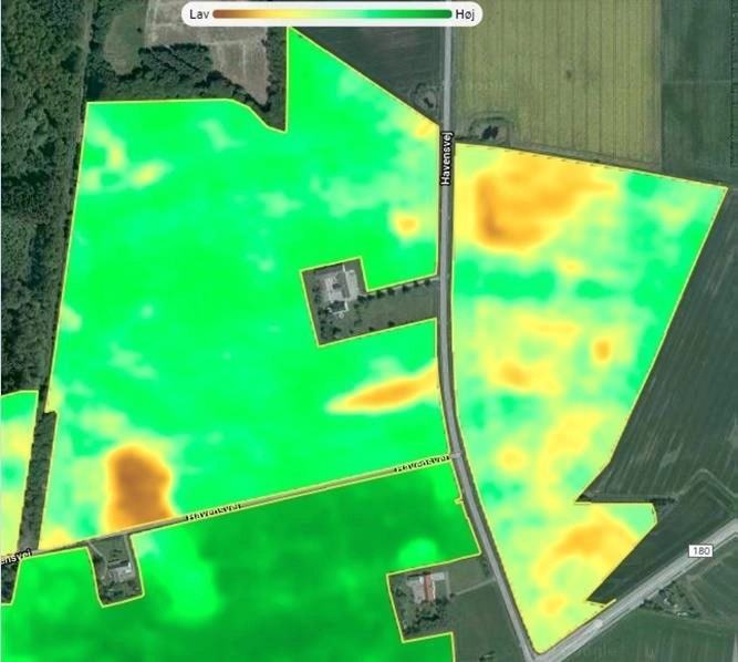 Biomassekort. De to øverste marker er vårbyg; den nederste er rajgræs. Kilde: FieldSense