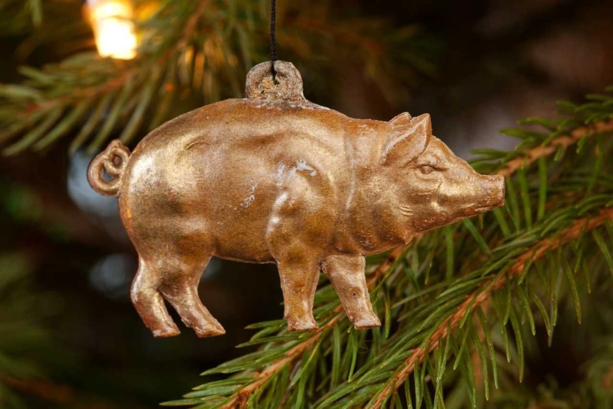 I dag spiser mange i Norden gris til jul, og sådan har det været længe. Når vikingerne fejrede deres vinterfest Jól, ofrede de en stor gris til guderne.