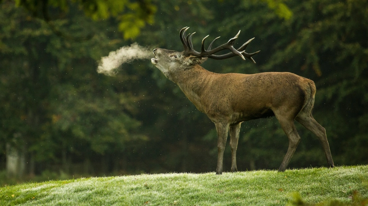 Foto: Diana Parkhouse