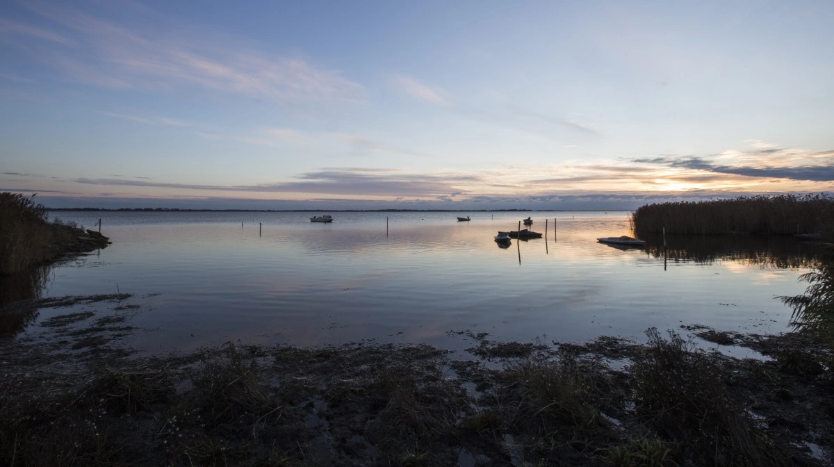 Den grønne treparts vådområdeprojekter omkring Fladsåen og Susåen vil kunne reducere næringsstofbelastningen i Dybsø Fjord, som er fotograferet her. Foto: Næstved Kommune 