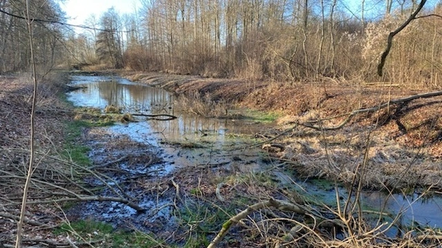 Så er der endelig sat politisk fokus på årtiers slendrian inden for kommunernes spildevandshåndtering. Men der er så også rigtig mange ting, der skal rettes op på, skriver Knud Jeppesen i læserbrevet. Foto: Kim Kronshage Rasmussen