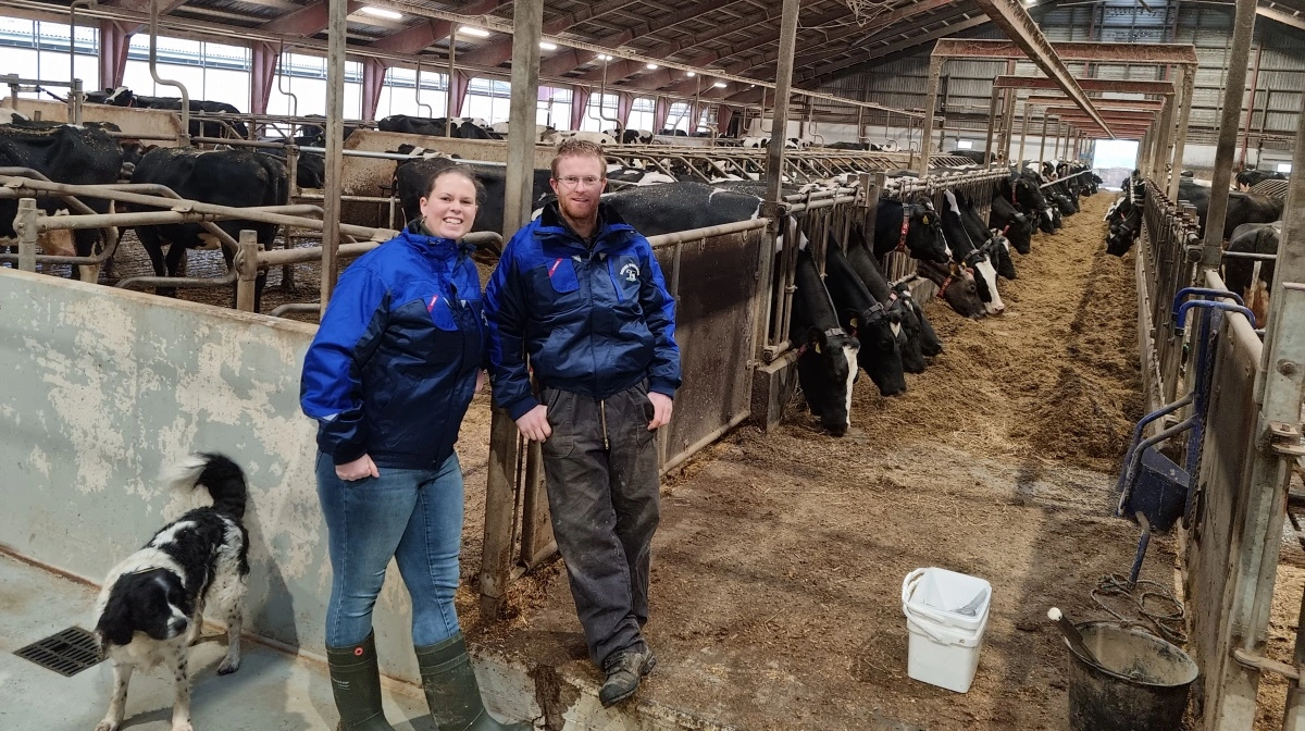 Det hollandske ægtepar Rianne og Jan Blom etablerede sig som mælkeproducenter med omkring 500 malkekøer på gården Nørre Fuglsang ved Løgstør for omkring fire et halvt år siden. Privatfoto