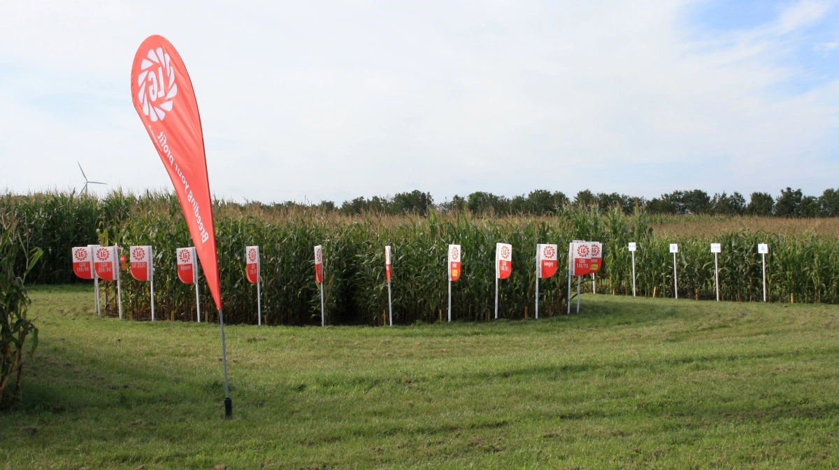 Limagrain A/S er tilfreds med seneste regnskab. Arkivfoto