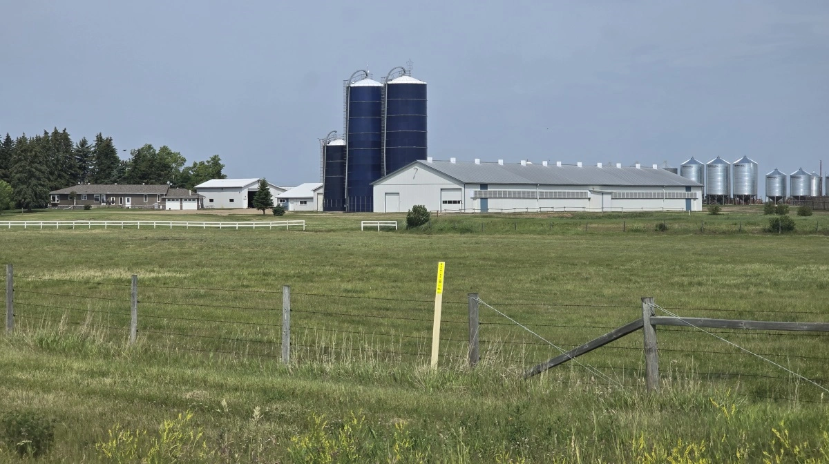 Familien Jespersens velholdte gård, som den ligger ved motorvejen vest for Edmonton. De i alt fire siloer bruges til opbevaring af korn.