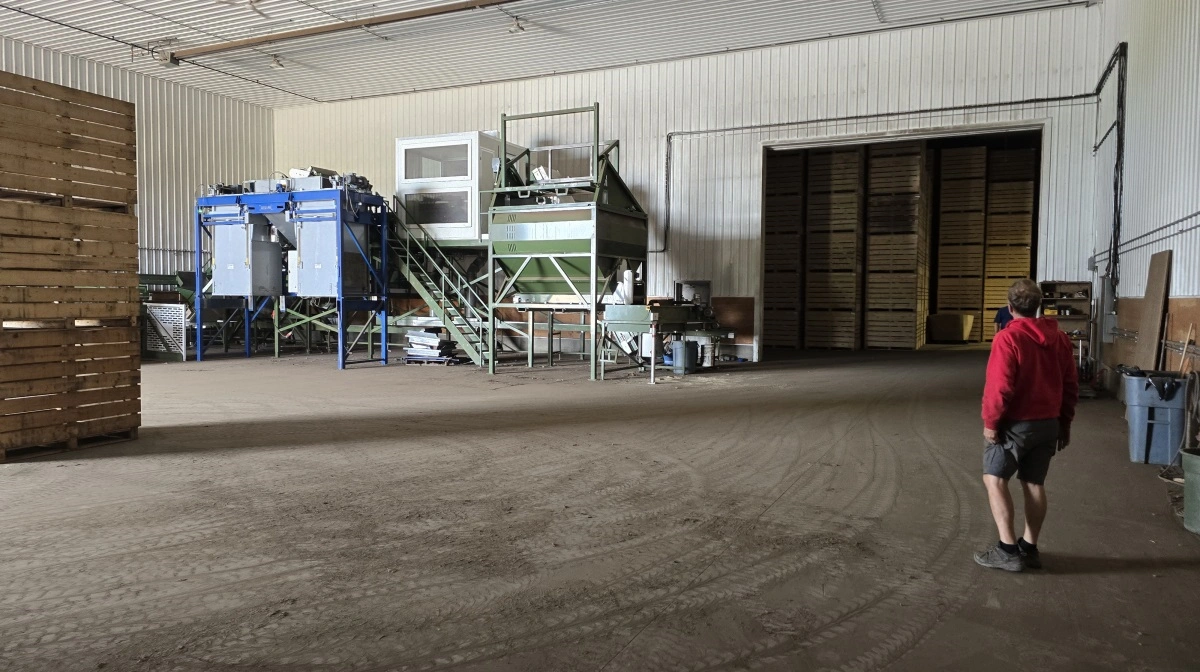 De store lager -og pakkehaller til læggekartoflerne.