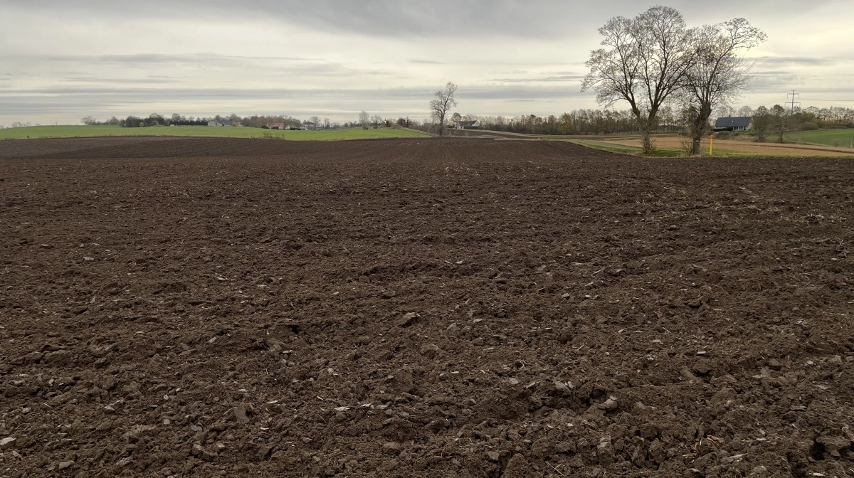 Maltbyg dyrkes der på denne mark – i retning mod øst. Hovedstaden gemmer sig lige bag bakketoppene i baggrunden.