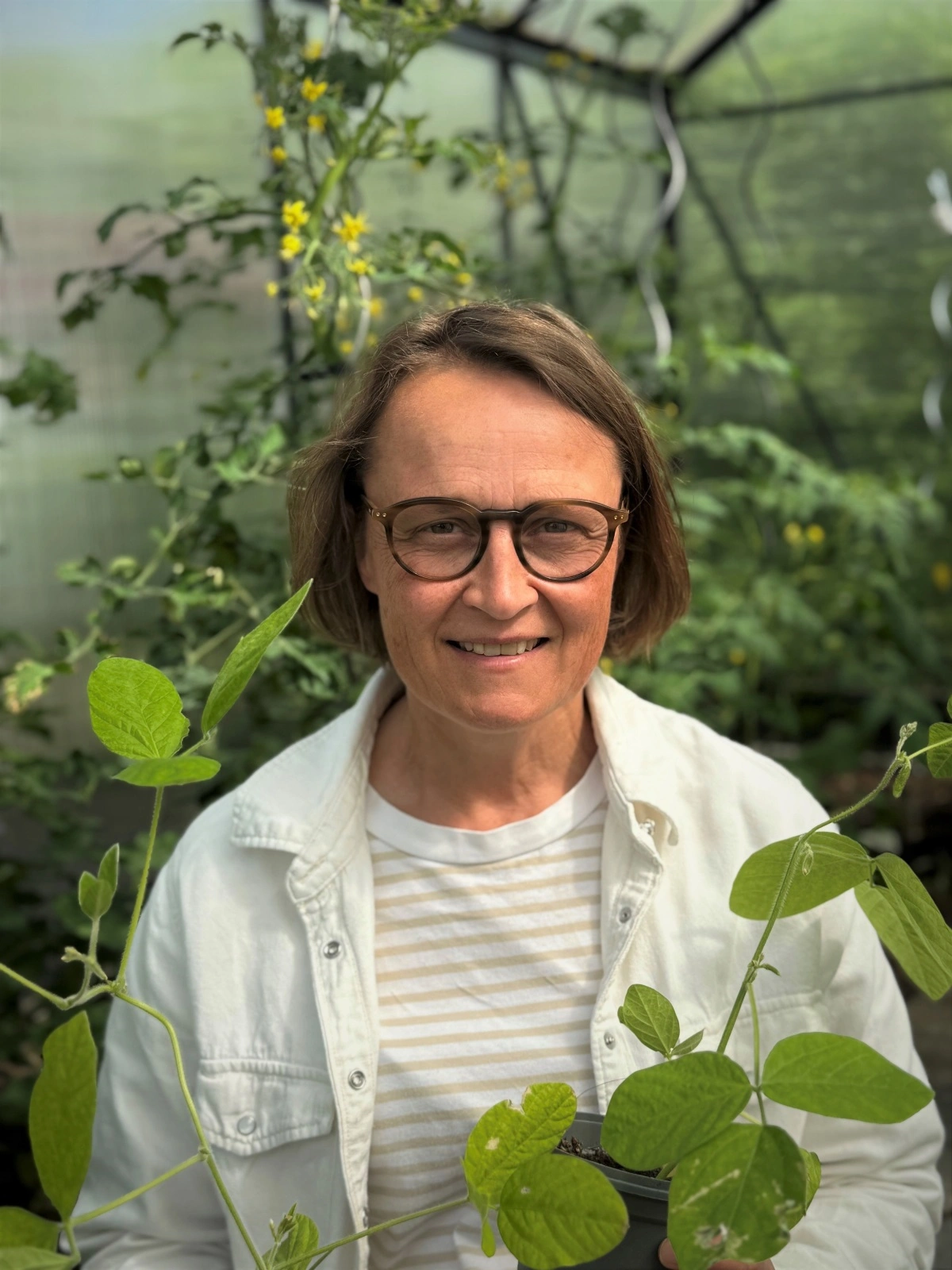 Bente Svane Nielsen, initiativtager til Dansk Bælgboost og chefkonsulent hos Seges Innovation.