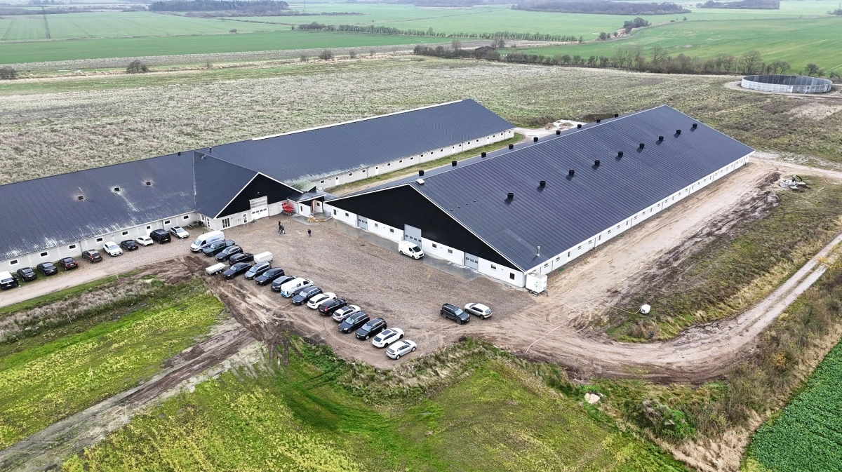 Den nye smågrisestald er forbundet til det eksisterende soanlæg med 1.500 søer. 