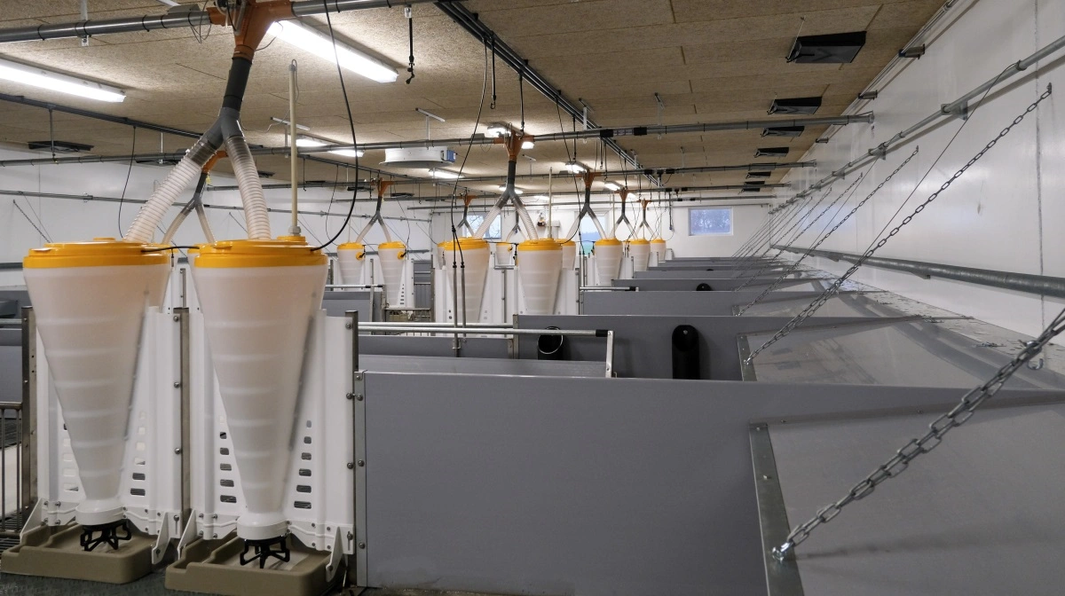 Nybyggeriet rummer 11.520 stipladser.