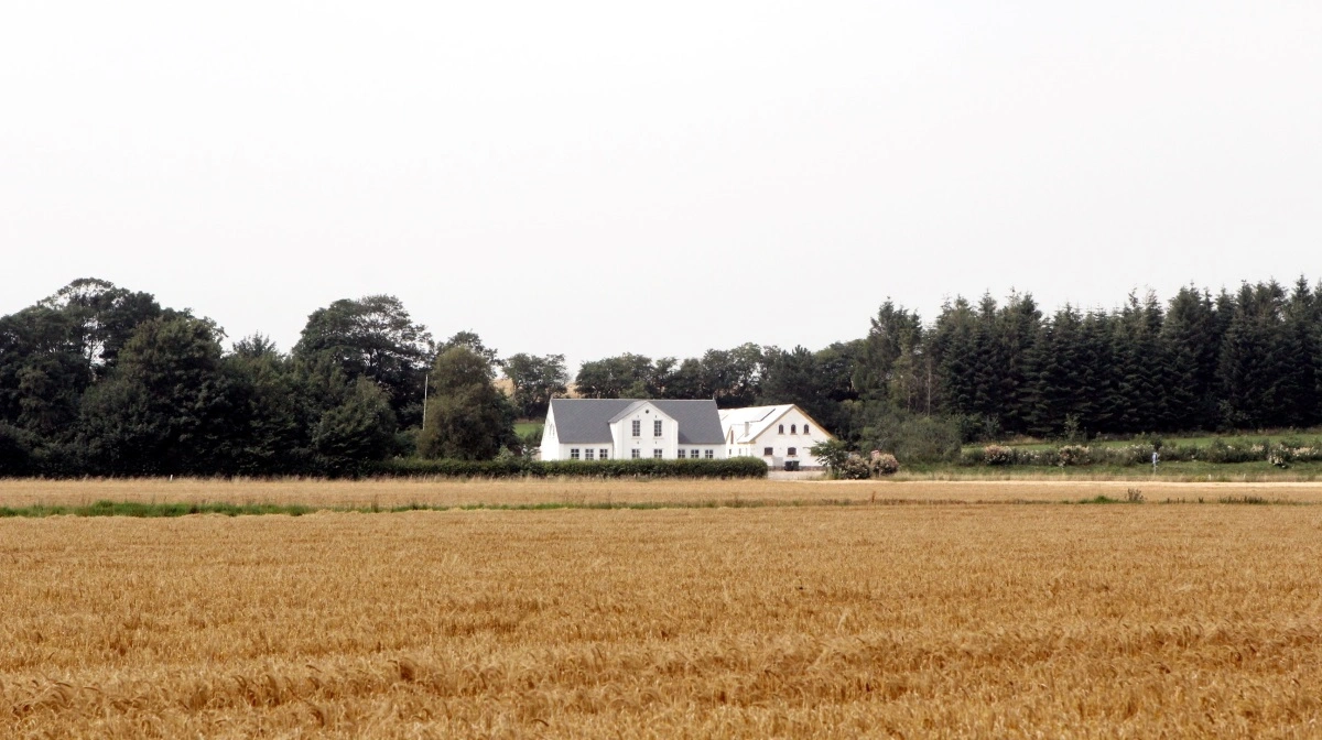 Gården på billedet har intet med den pågældende historie at gøre. Arkivfoto: Anne Wolfenberg