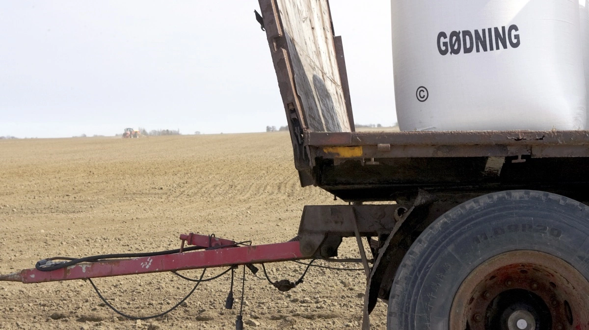 Kommer den kommende kvælstofregulering til at pege væk fra både miljø, fødevareproduktion og erstatning til landmændene? spørger Ann Louise Worsøe Jørgensen i debatindlægget. Arkivfoto