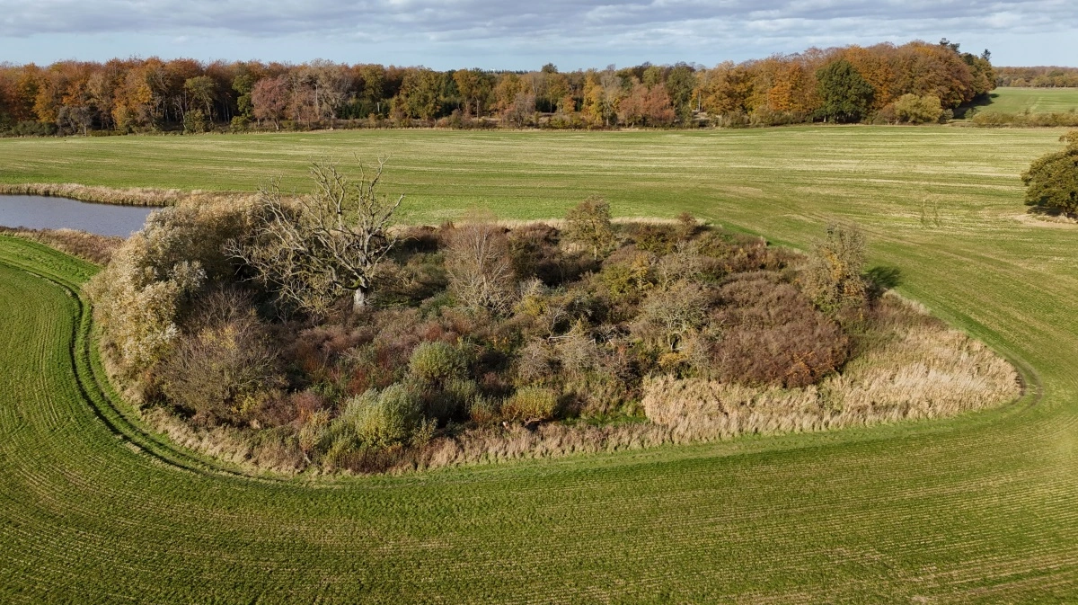 - Regler, der skulle beskytte naturen, spænder i dag ben for den. Hvis vi vil have mere natur, skal vi rydde ud i forældede regler og skabe klare rammer for dem, der vil gøre en forskel, siger Marie-Louise Boisen Lendal, direktør i Tænketanken Frej. Arkivfoto: Per Jørgensen